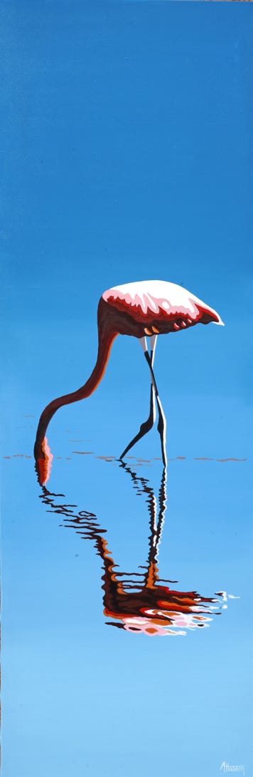 flamand rose