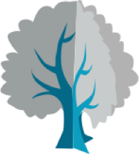 arbre