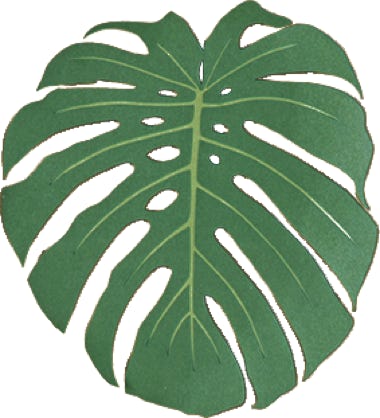 feuille en papier